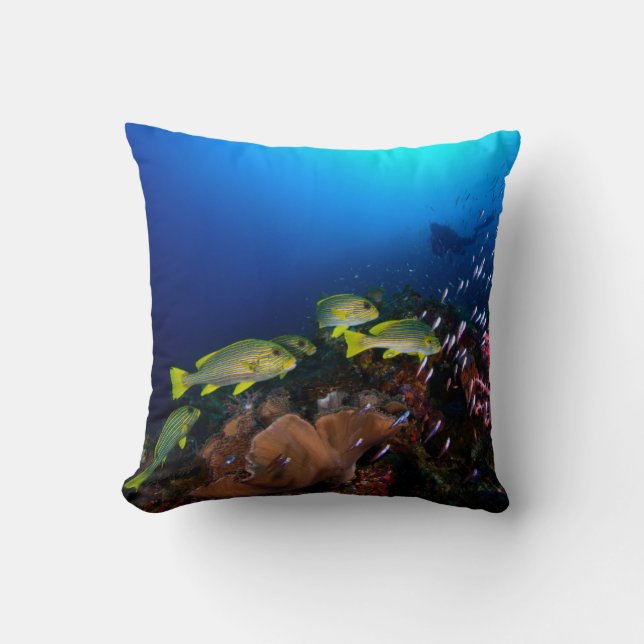 Laja Ampat Underwater 3 Cushion (Front)