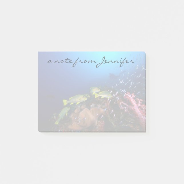 Laja Ampat Underwater 3 Post-it Notes (Front)