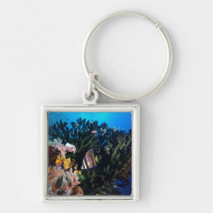 Laja Ampat Underwater 4 Key Ring