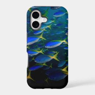 Laja Ampat Underwater 5