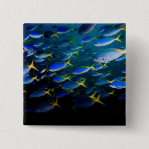Laja Ampat Underwater 5 15 Cm Square Badge