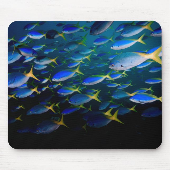 Laja Ampat Underwater 5 Mouse Mat (Front)