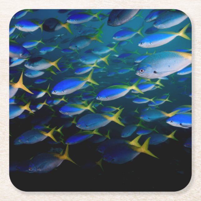 Laja Ampat Underwater 5 Square Paper Coaster (Front)