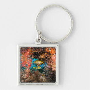 Laja Ampat Underwater 6 Key Ring