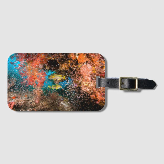 Laja Ampat Underwater 6 Luggage Tag (Front Horizontal)