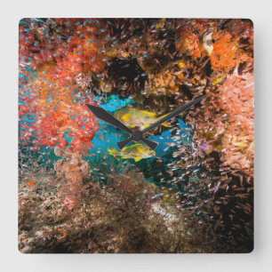 Laja Ampat Underwater 6 Square Wall Clock