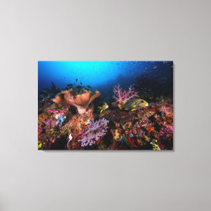 Laja Ampat Underwater Canvas Print