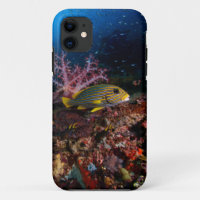 Laja Ampat Underwater