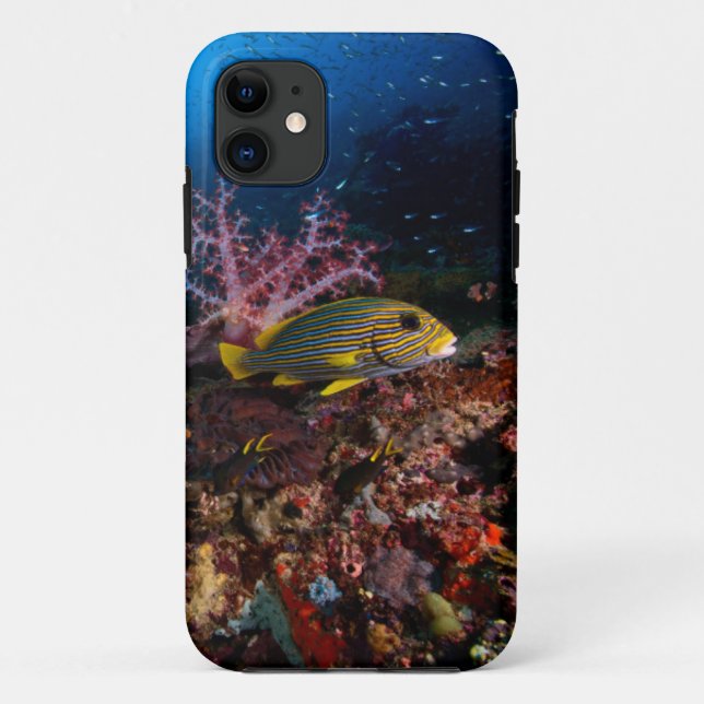 Laja Ampat Underwater Case-Mate iPhone Case (Back)