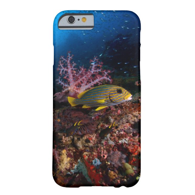 Laja Ampat Underwater Case-Mate iPhone Case (Back)