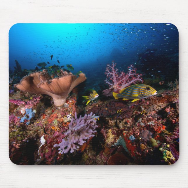 Laja Ampat Underwater Mouse Mat (Front)