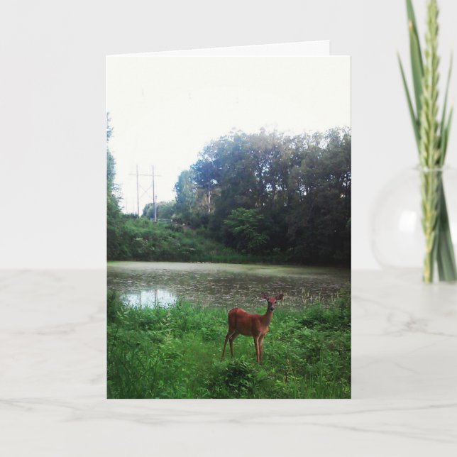 "Lake Alimagnet Deer" Easter Card (Front)