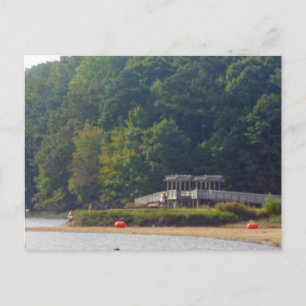 Lake Allatoona, Acworth, Georgia Postcard