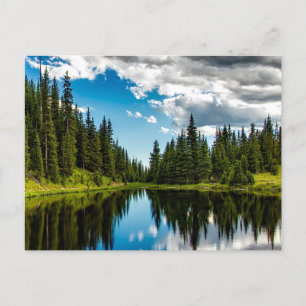 Lake and Evergreen Tree Lined Postcard