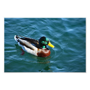 Lake Arrowhead Photo Print