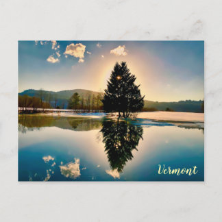 Lake Barleywine, Vermont Postcard