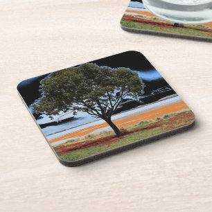 Lake Beeac Solo Tree Coasters