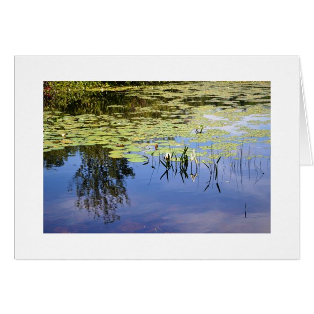 Lake Caroline (Front Horizontal)