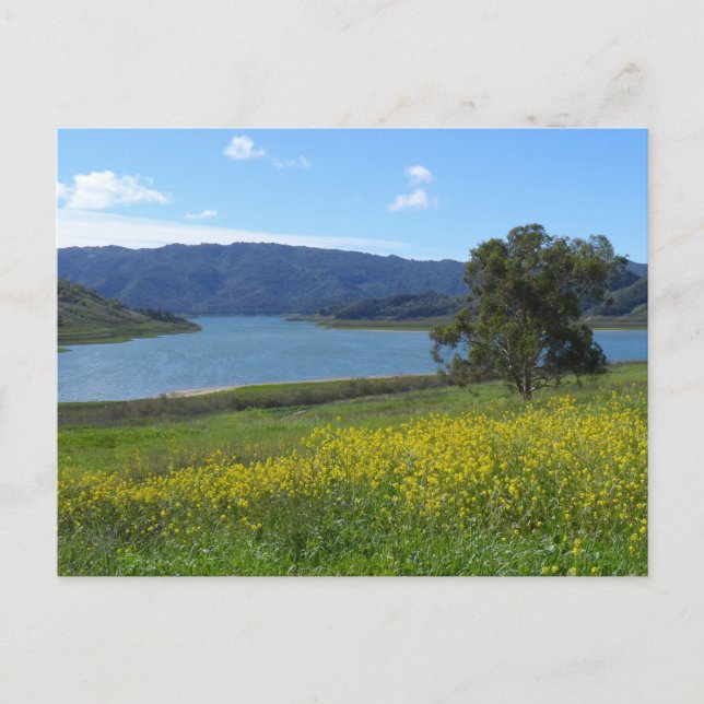 Lake Casitas- Ojai, CA Postcard (Front)