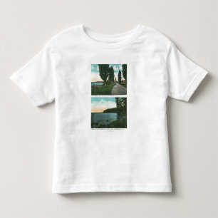 Lake Champlain Drive View Toddler T-Shirt