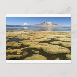 Lake Chungara Lauca National Park Tarapaca Chile Postcard