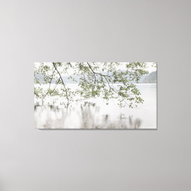 Lake Crescent | Olympic National Park, WA Canvas Print (Front)