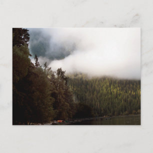 Lake Crescent Washington Postcard