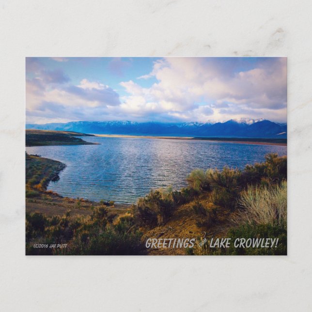 Lake Crowley #2 Postcard (Front)