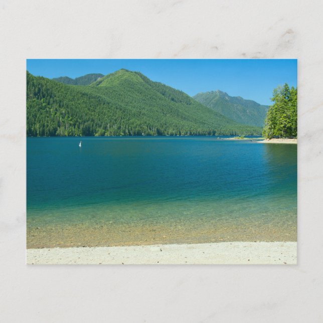 Lake Cushman Beach Postcard (Front)
