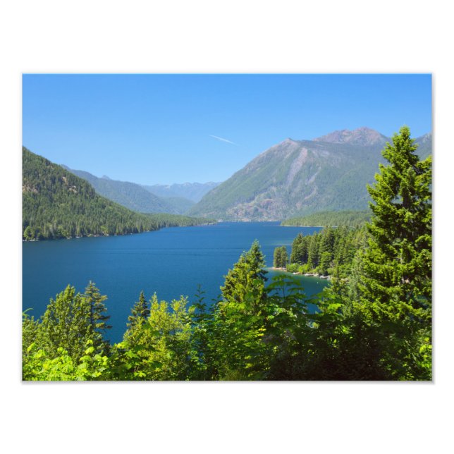 Lake Cushman Summer Print (Front)