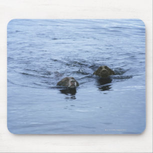lake district cumbria england mouse mat