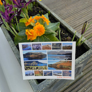 Lake District multi-image Postcard