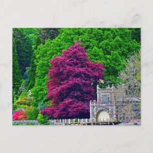 Lake District Postcard
