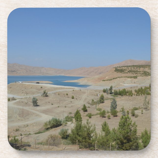 Lake Ducan3 Coaster (Front)