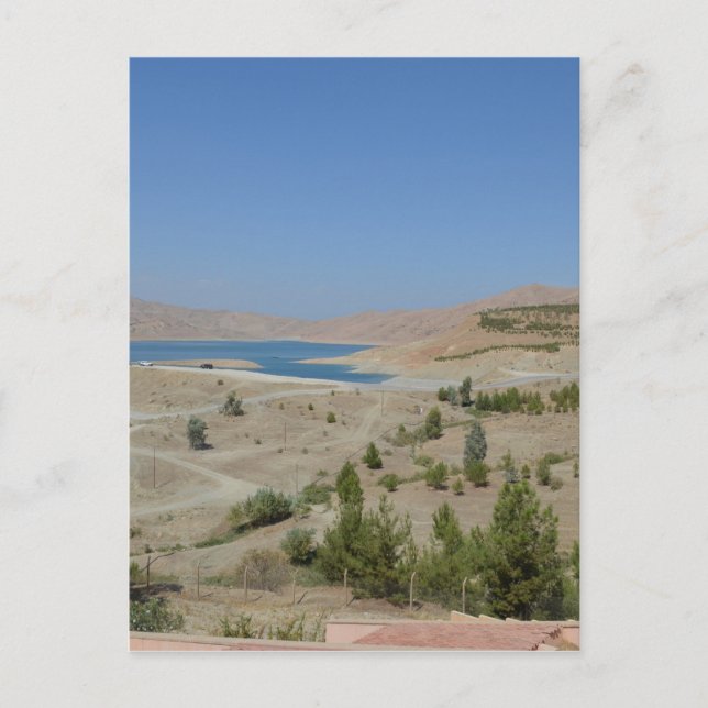 Lake Ducan3 Postcard (Front)