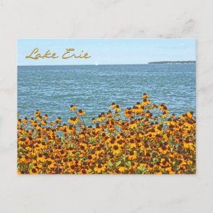 Lake Erie And Brown-eyed Susans/Lakeside, Ohio Postcard