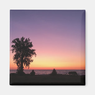 lake erie magnet