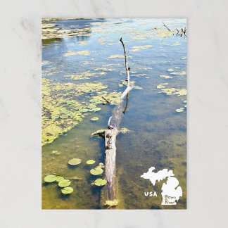 Lake Erie Metropark Turtle Log Horizontal Logo Postcard
