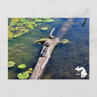 Lake Erie Metropark Turtle Log Vertical Logo Postcard