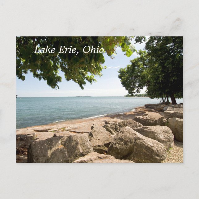 lake Erie Shore  Postcard (Front)