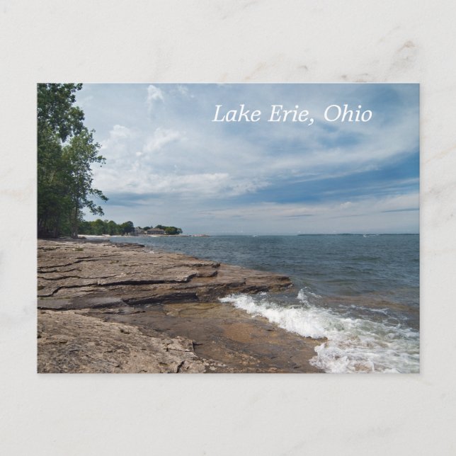 lake Erie Shore  Postcard (Front)