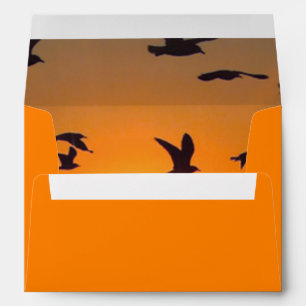 Lake Erie Sunset Envelopes