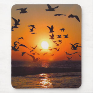 Lake Erie Sunset Mouse Mat