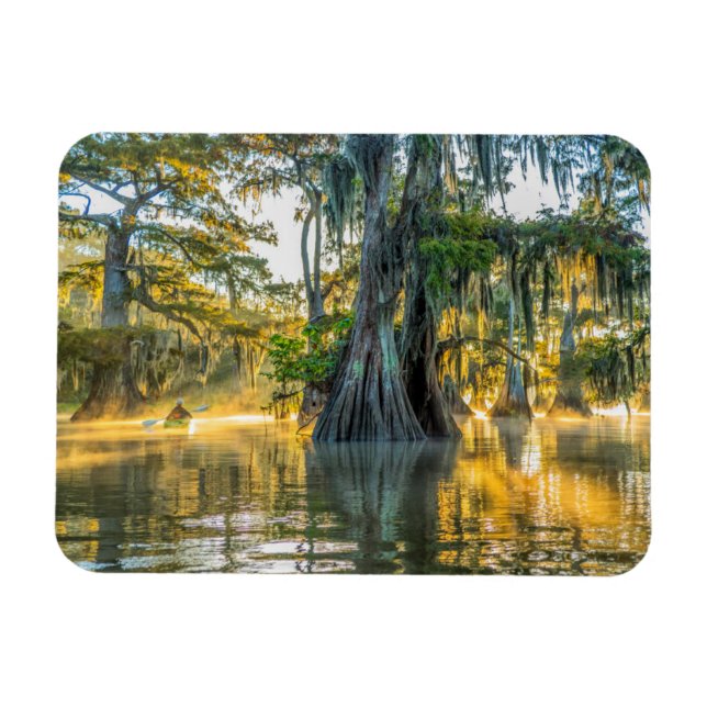 Lake Fausse Pointe State Park Magnet (Horizontal)