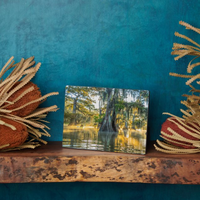 Lake Fausse Pointe State Park Plaque (Side)