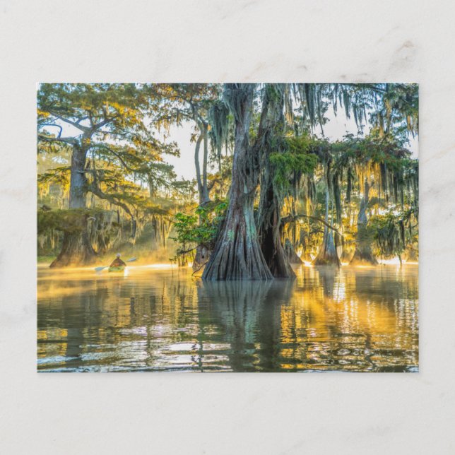 Lake Fausse Pointe State Park Postcard (Front)