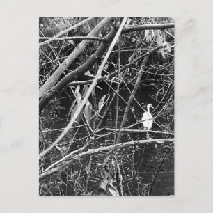 lake george postcard