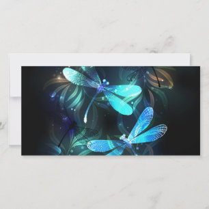 Lake Glowing Dragonflies Announcement