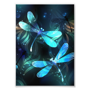 Lake Glowing Dragonflies Photo Print