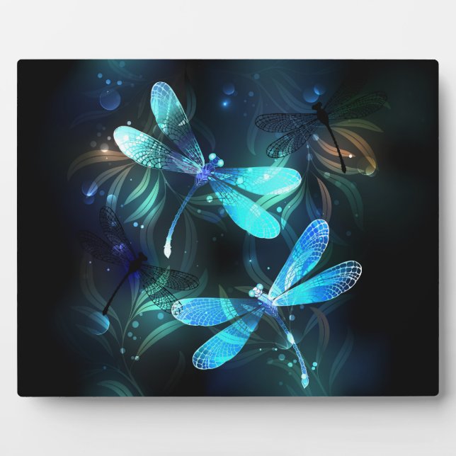 Lake Glowing Dragonflies Plaque (Front)